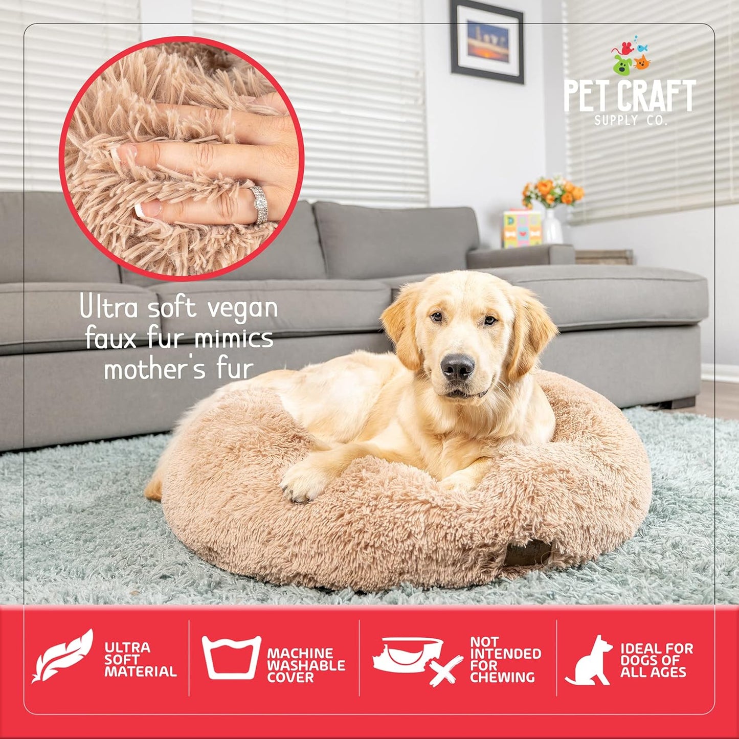 Wellness Calming Dog Bed for Small Dogs - Cat Bed for Indoor Cats - with Bonus Matching Dog Blanket Cat Blanket to Combat Anxiety Xlarge